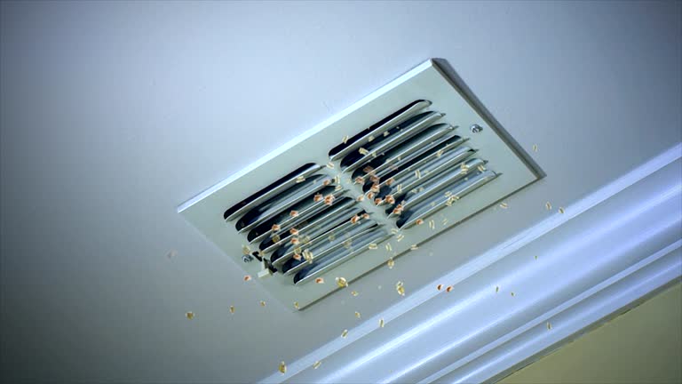Best Local Air Duct Cleaning Services  in Bnchard, LA