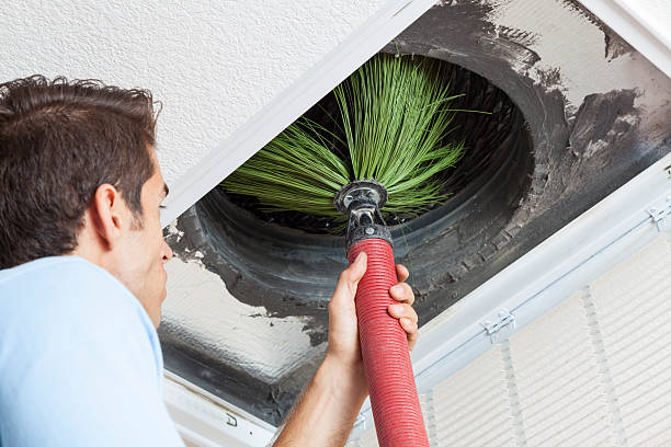 Best Professional Duct Cleaning Services  in Bnchard, LA